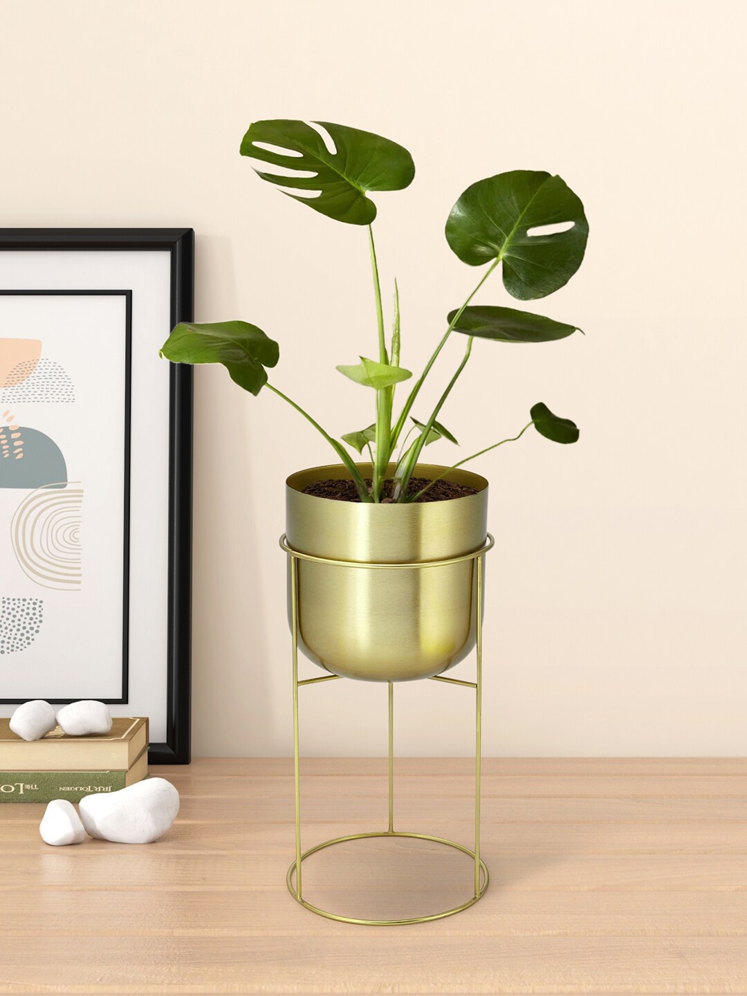 

Living scapes by Pantaloons Gold Round Planter With Stand
