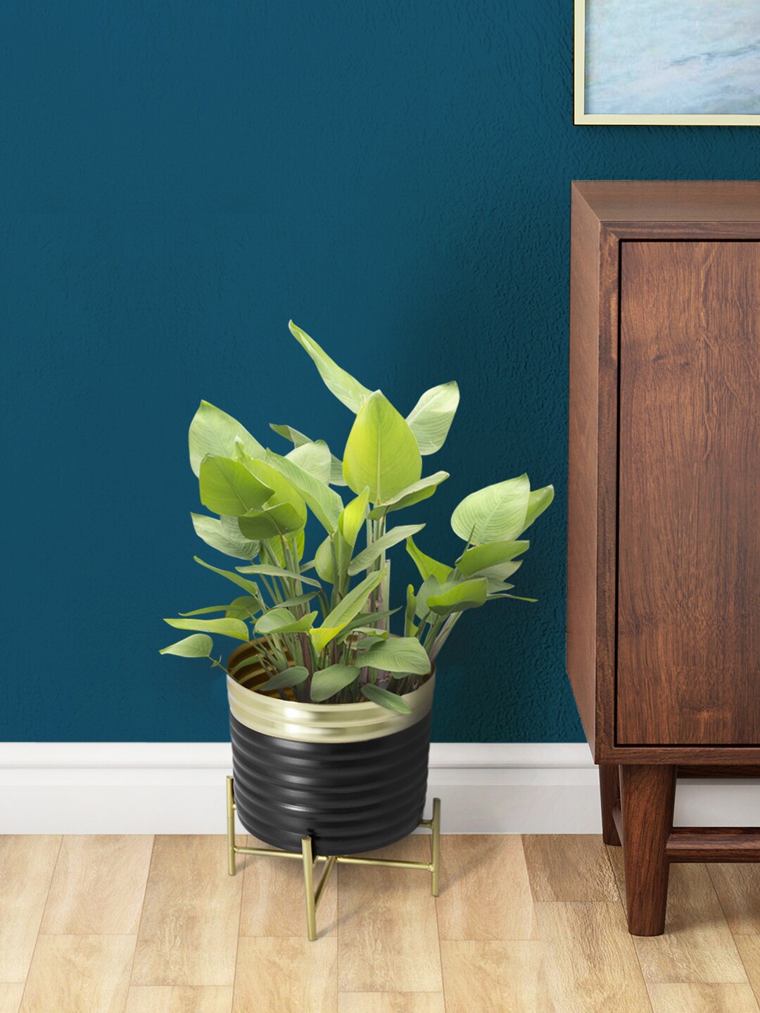 

Living scapes by Pantaloons Black & Gold Round Planter With Stand