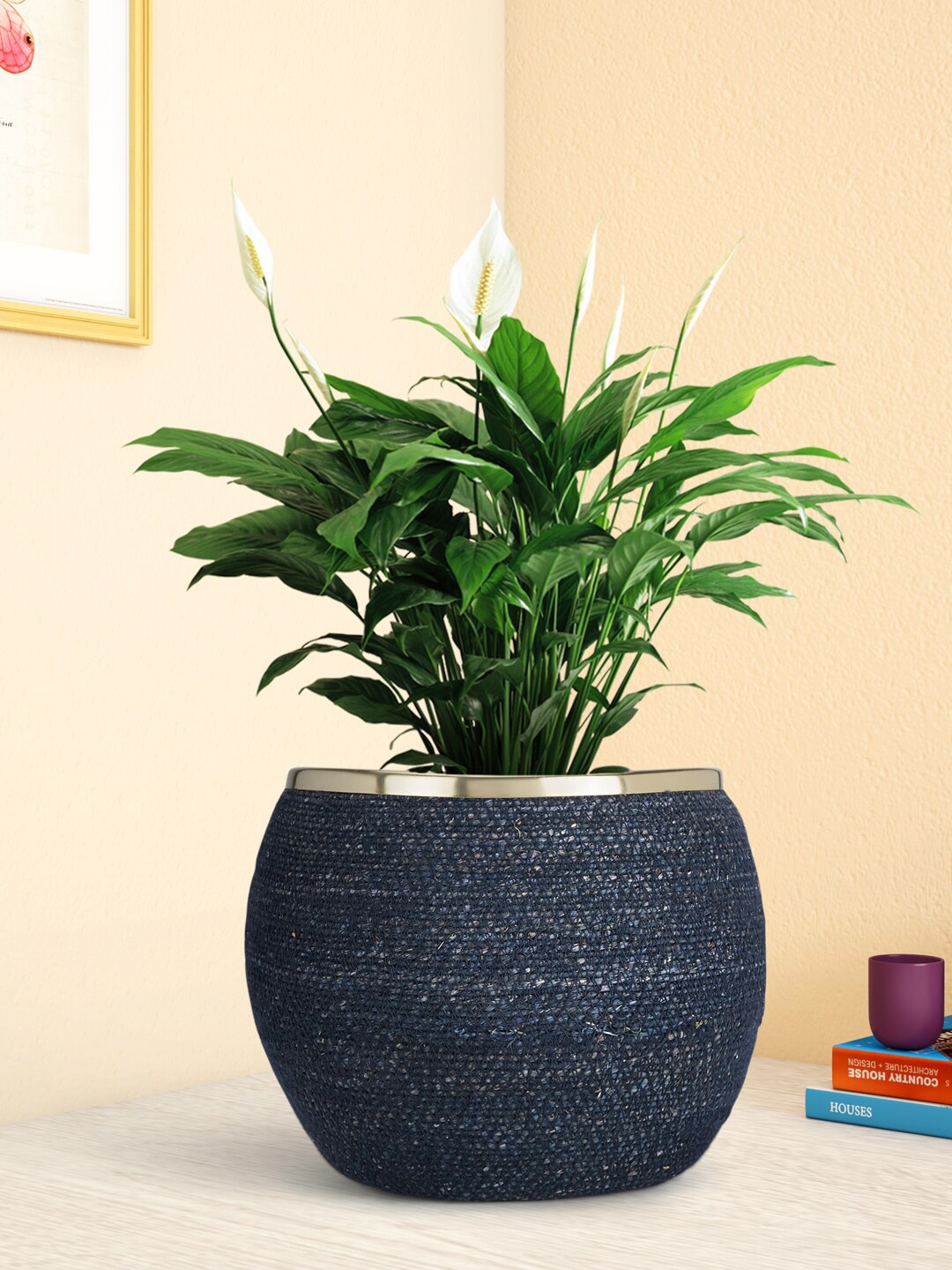 

Living scapes by Pantaloons Navy Blue Jute Planter