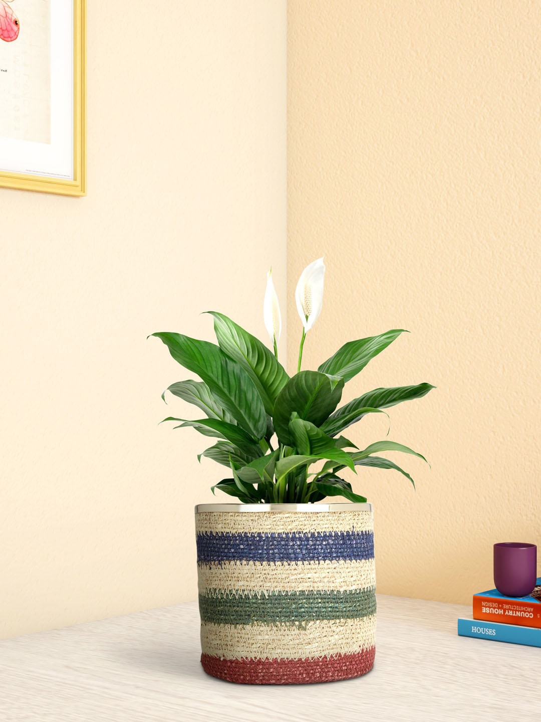 

Living scapes by Pantaloons Off White & Blue Striped Jute Planter