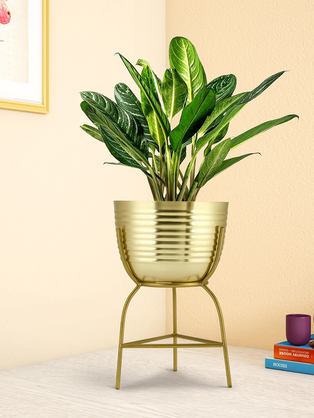 

Living scapes by Pantaloons Gold Textured Flower Planter