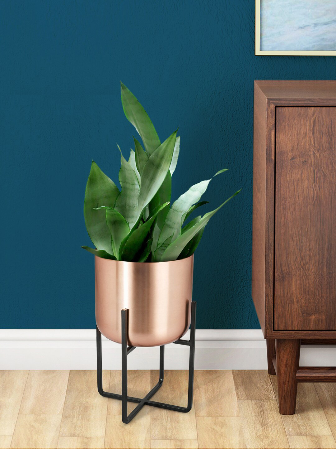 

Living scapes by Pantaloons Rose Gold & Black Metal Planter With Stand