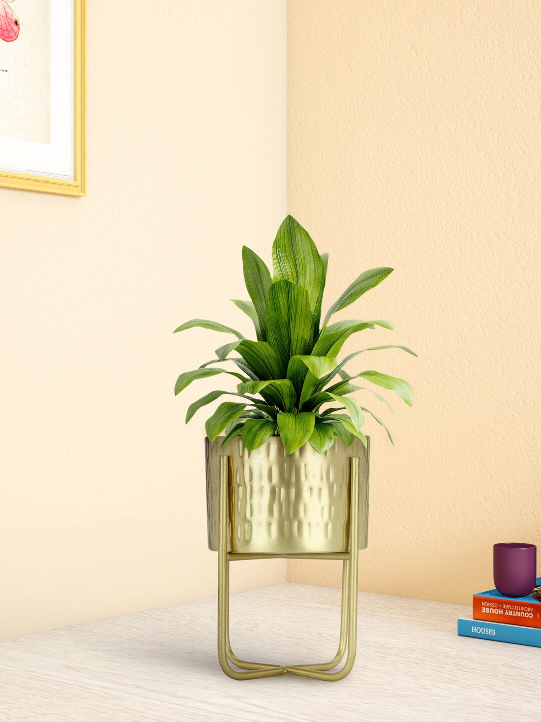 

Living scapes by Pantaloons Gold Planter With Stand