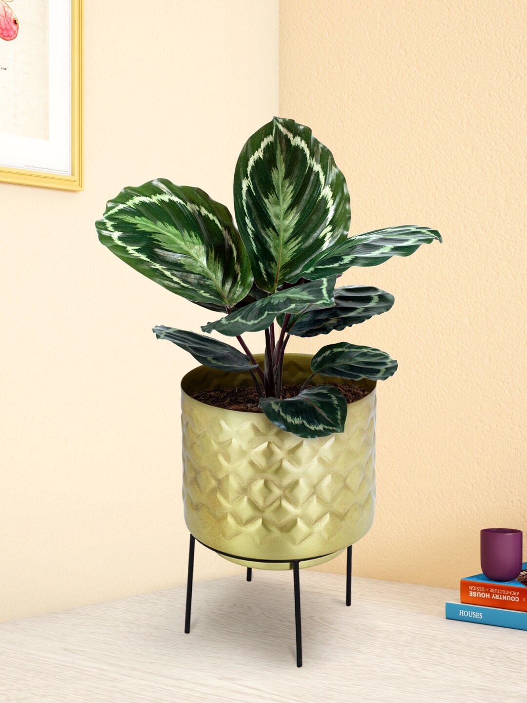 

Living scapes by Pantaloons Gold Patterned Iron Planter With Stand