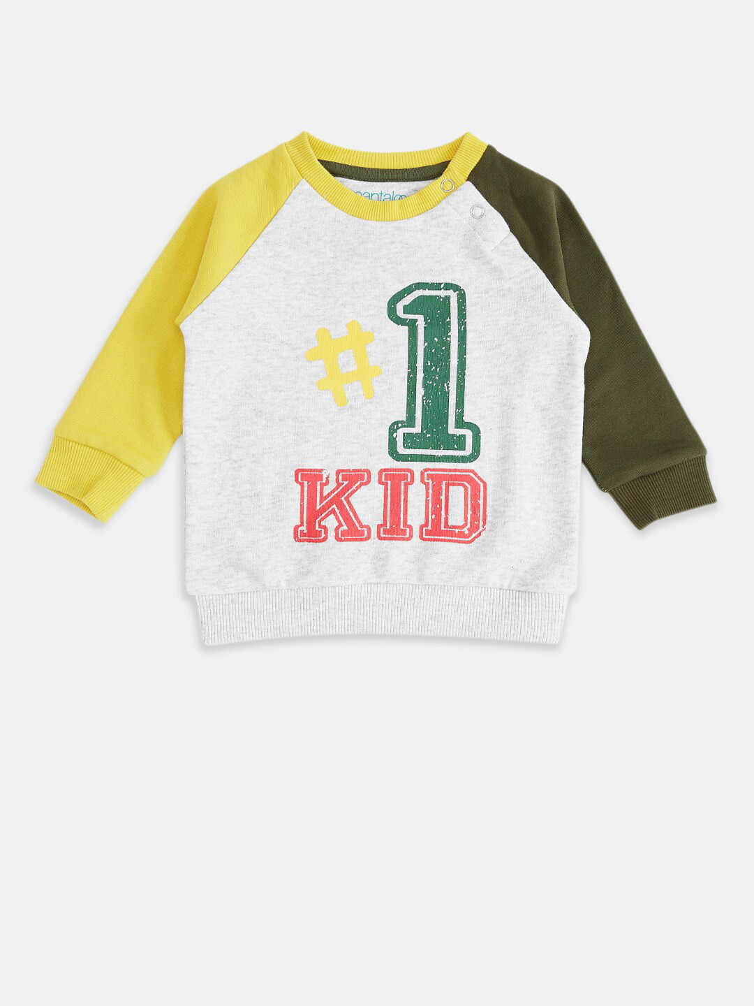 

Pantaloons Baby Boys Colourblocked Cotton Sweatshirt, Grey