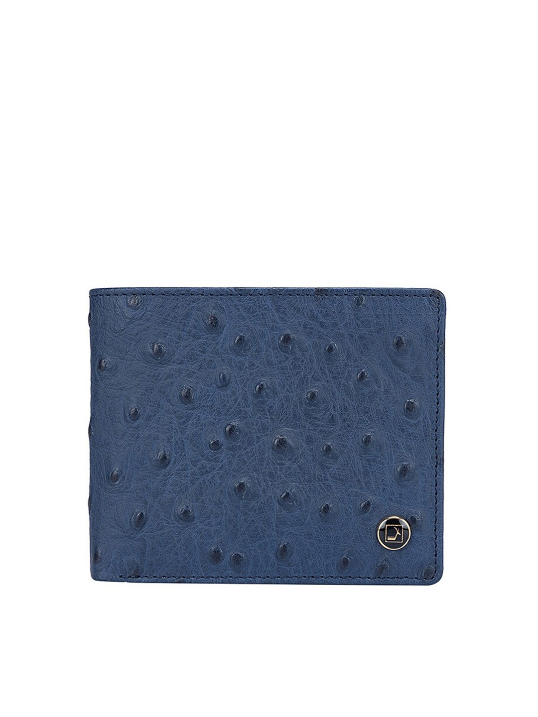 

Da Milano Men Blue Textured Leather Two Fold Wallet