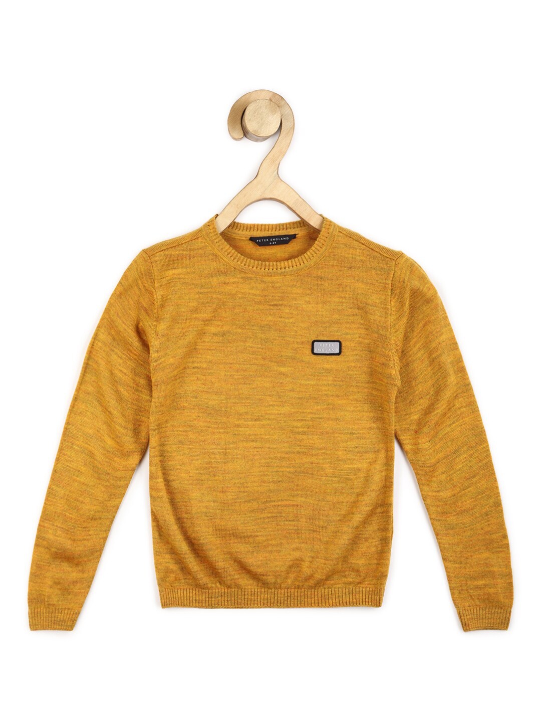 

Peter England Boys Round Neck Long Sleeves Acrylic Pullover, Yellow