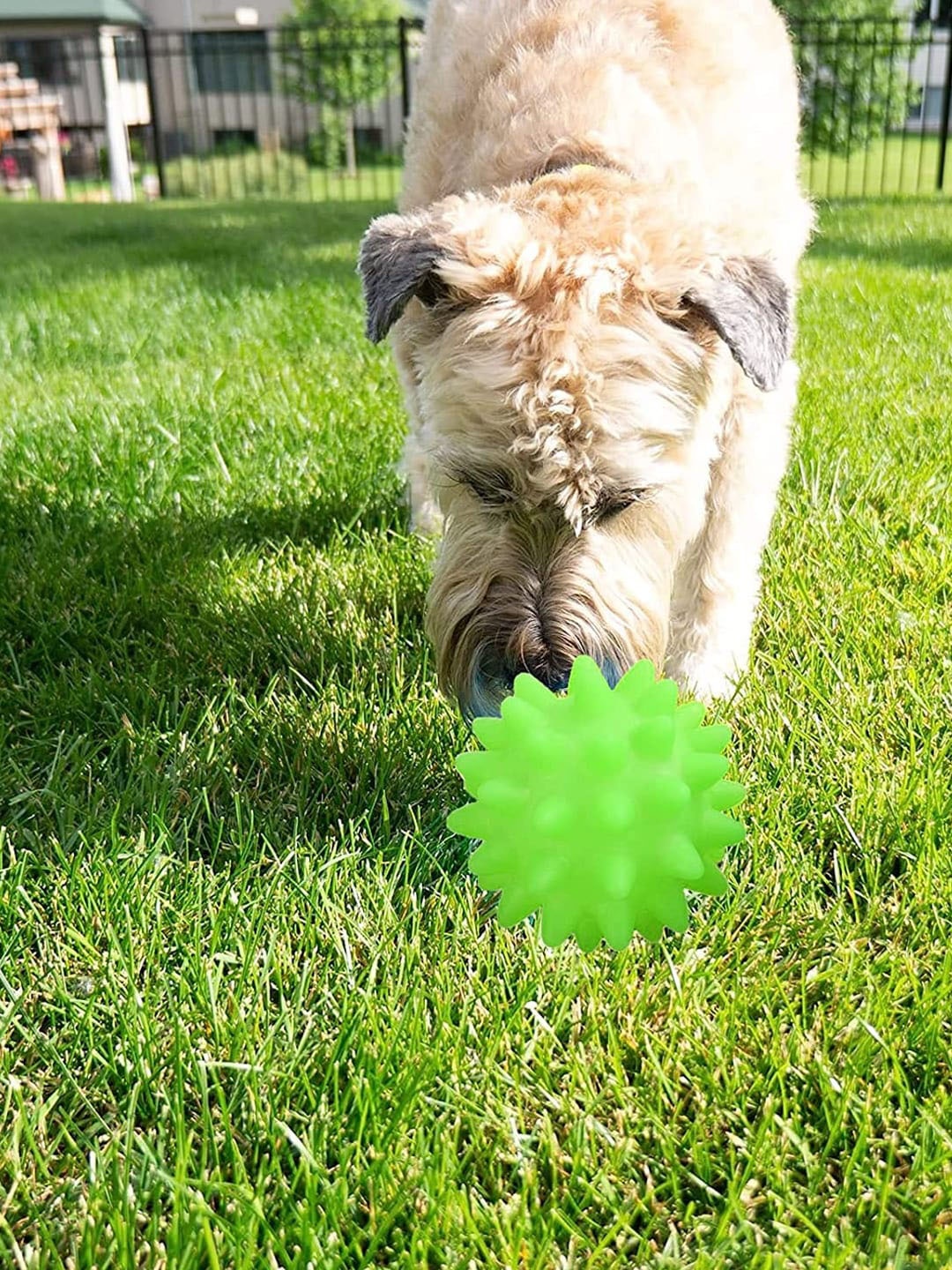 

Emily pets Chew Ball Squeaky Pet Toys, Green