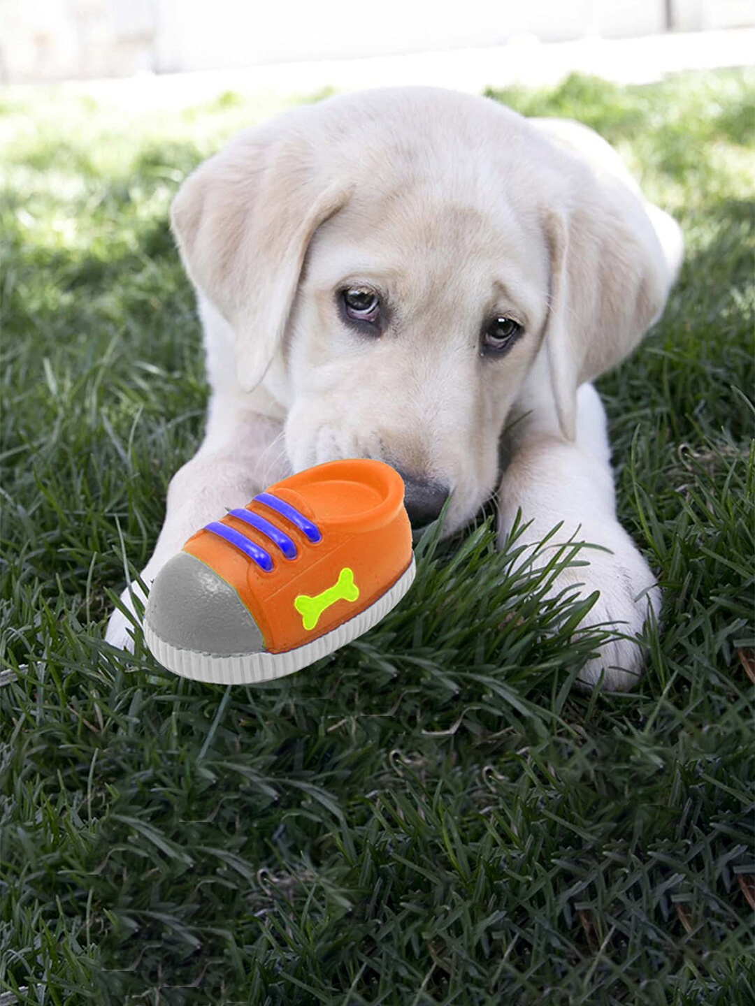 

Emily pets Squeaky Shoe Shaped Pet Toys, Green