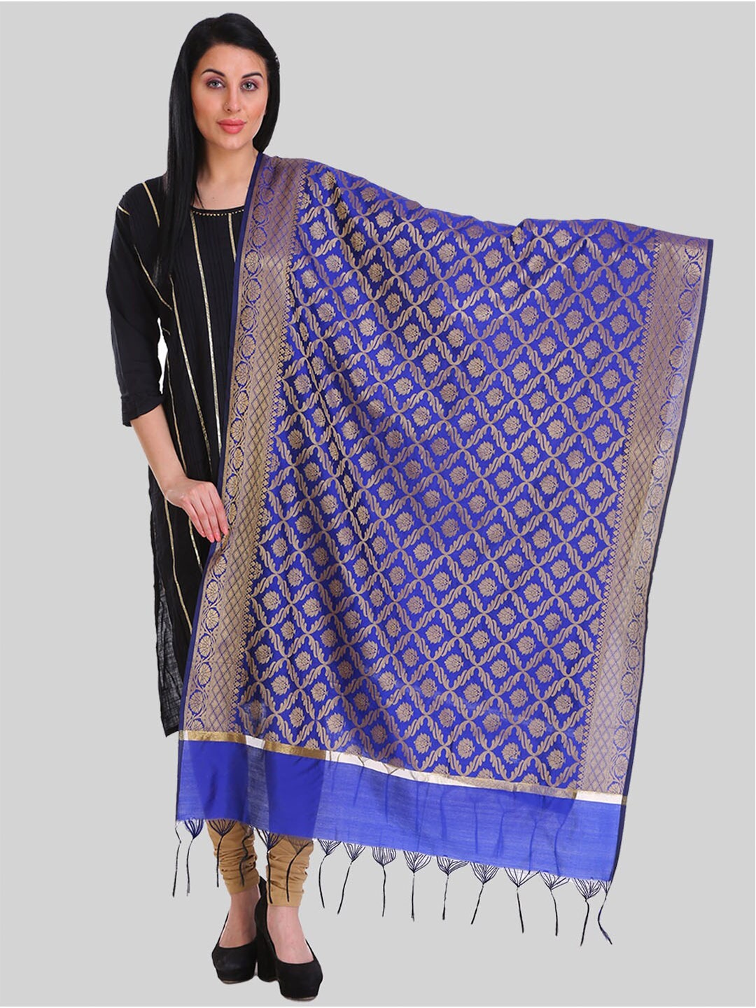 

SAUNDARYA Woven Design Dupatta with Zari, Blue