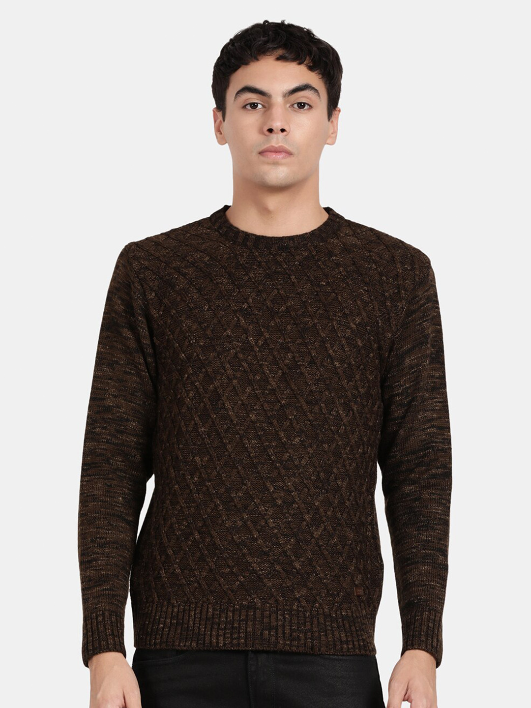

t-base Men Cable Knit Wool Pullover, Brown