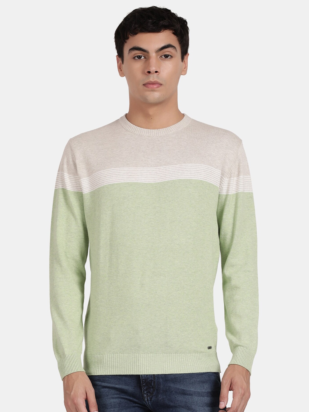 

t-base Men Colourblocked Cotton Pullover, Green