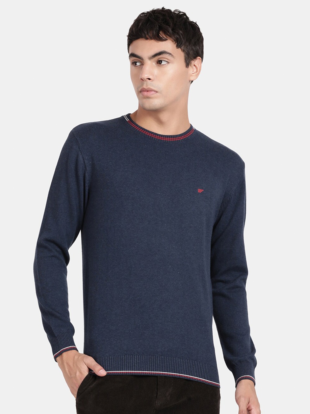 

t-base Men Striped Cotton Pullover, Blue