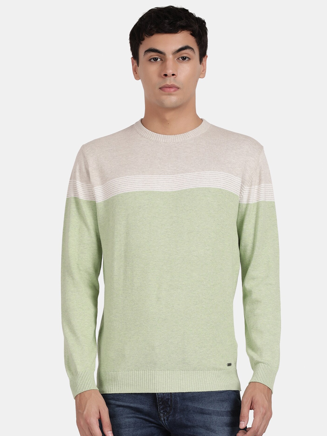 

t-base Men Striped Round Neck Cotton Pullover Sweater, Green