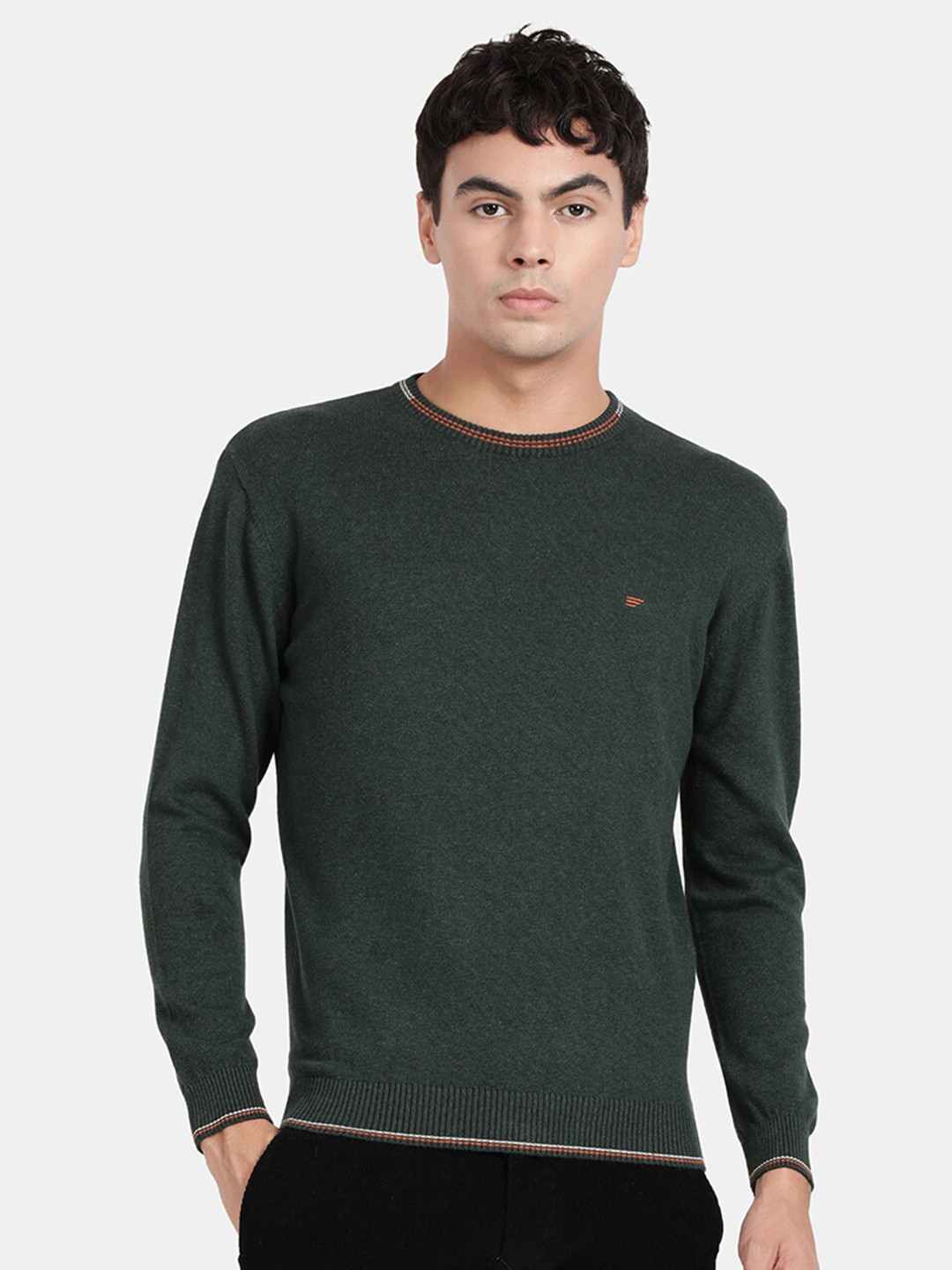 

t-base Men Round Neck Cotton Pullover Sweater, Green