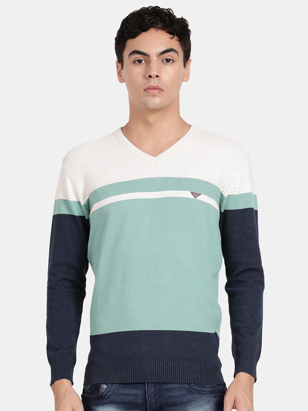 

t-base Men Striped V Neck Cotton Pullover Sweater, Green