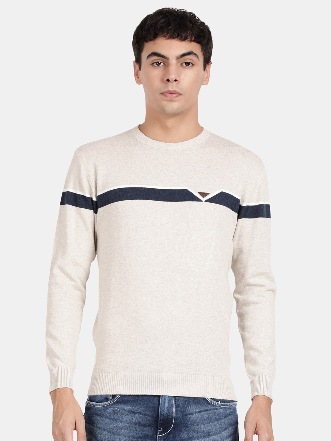 

t-base Plus Size Men Round Neck Cotton Pullover Sweater, Cream