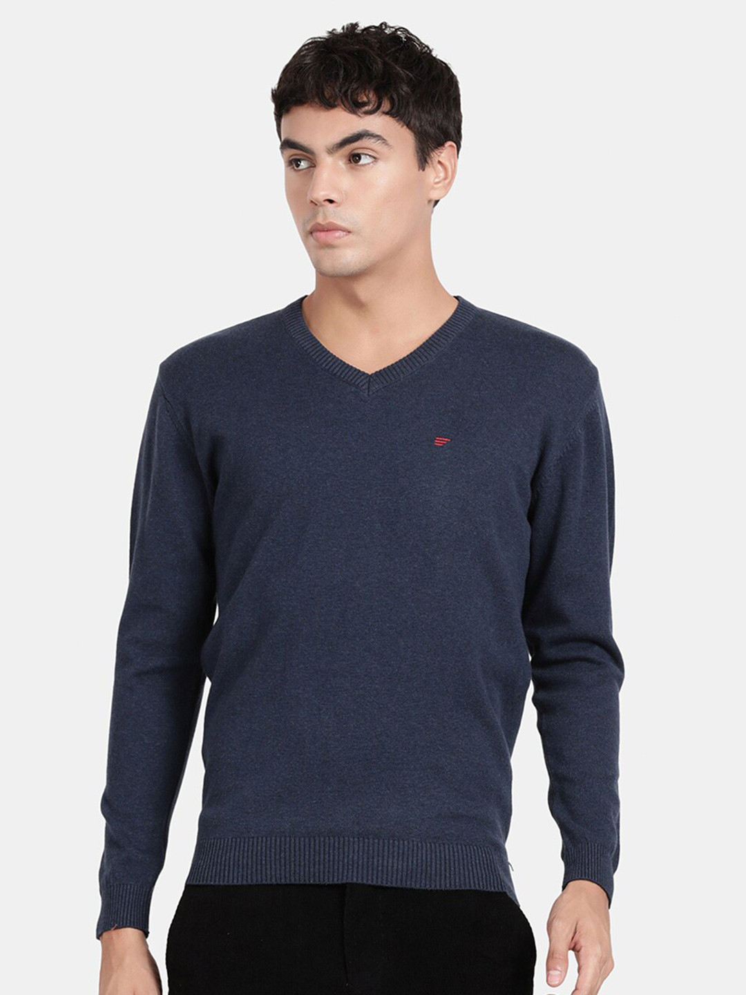 

t-base Men V- Neck Cotton Pullover Sweater, Blue