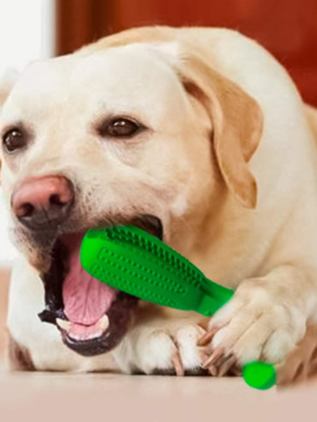

Emily pets Chew Tooth Brushing Stick Pet Toys, Green