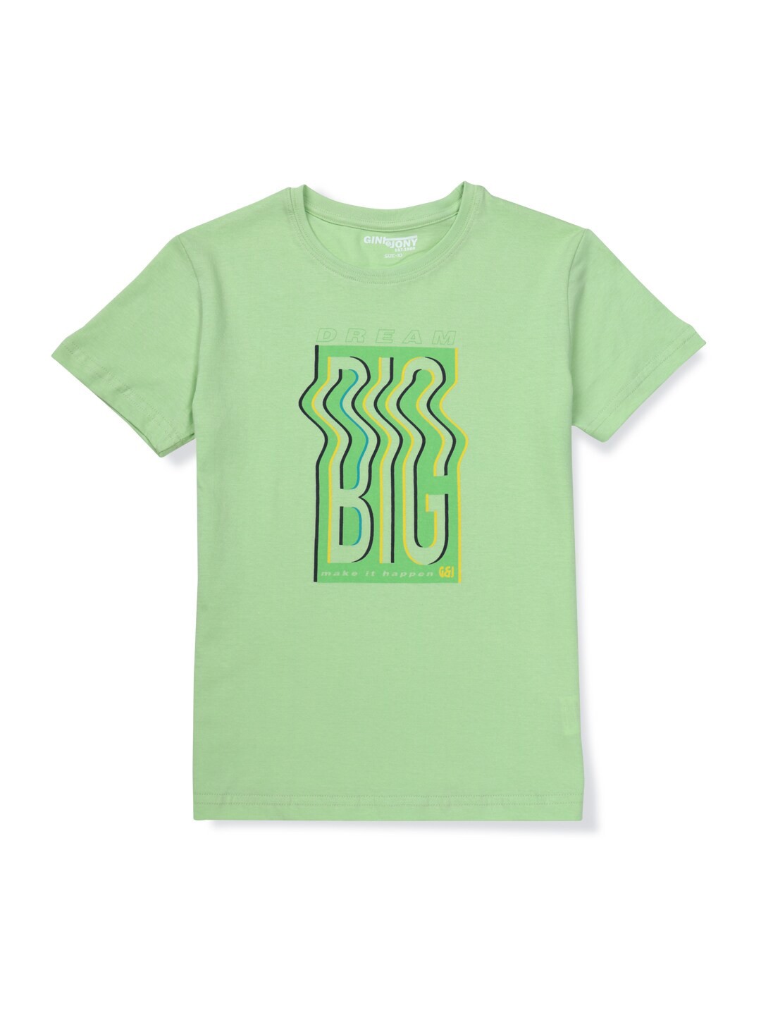 

Gini and Jony Boys Printed Round Neck Cotton T-shirt, Green