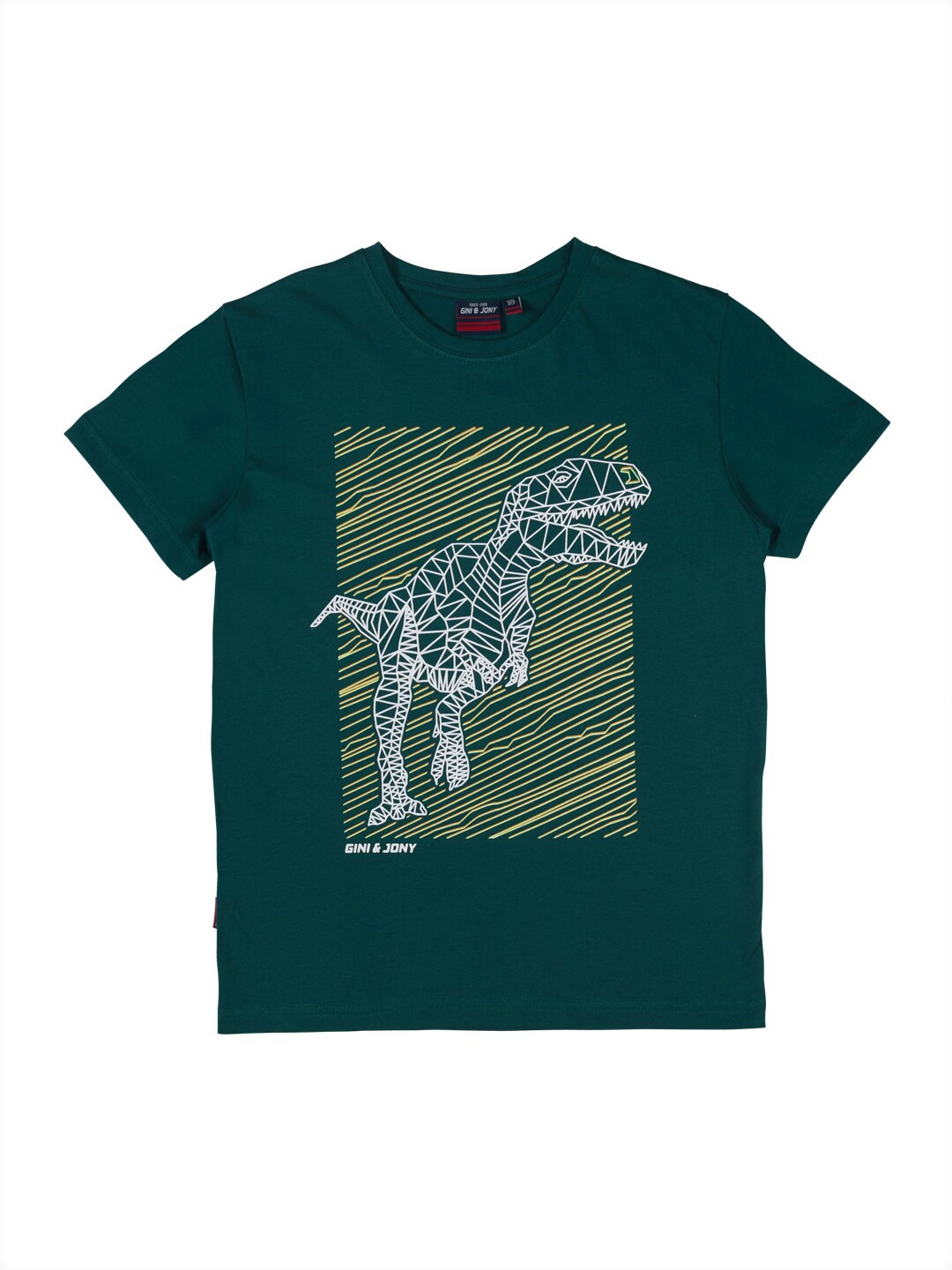 

Gini and Jony Boys Graphic Printed Cotton T-shirt, Green
