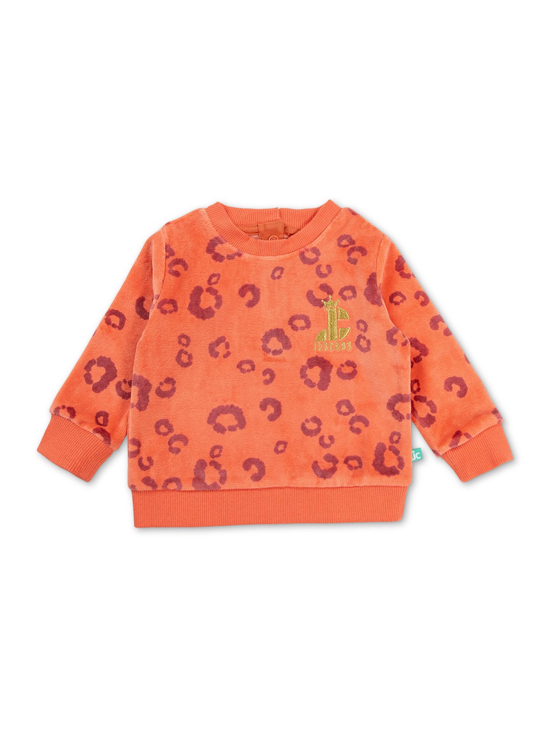 

JusCubs Girls Cotton Printed Sweatshirt, Orange