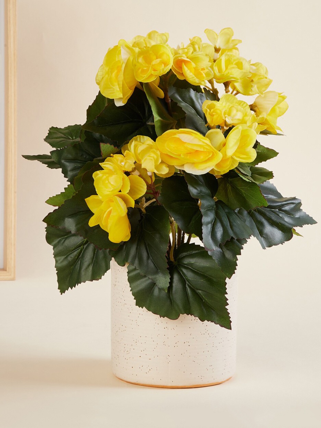 

Home Centre Yellow Textured Begonia in Ceramic Pot