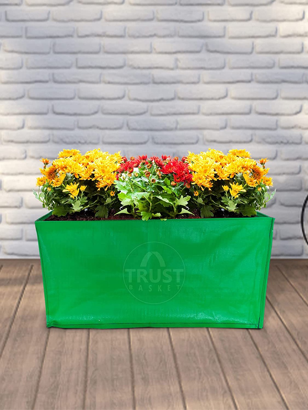 

TRUSTBASKET Set of 10 Green Brand Logo Printed Planters