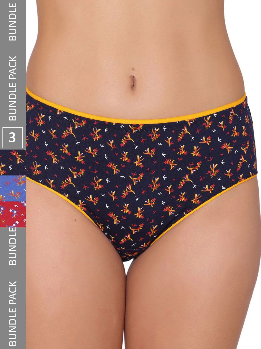 GROVERSONS Paris Beauty Women Pack Of 3 Assorted Hipster Briefs