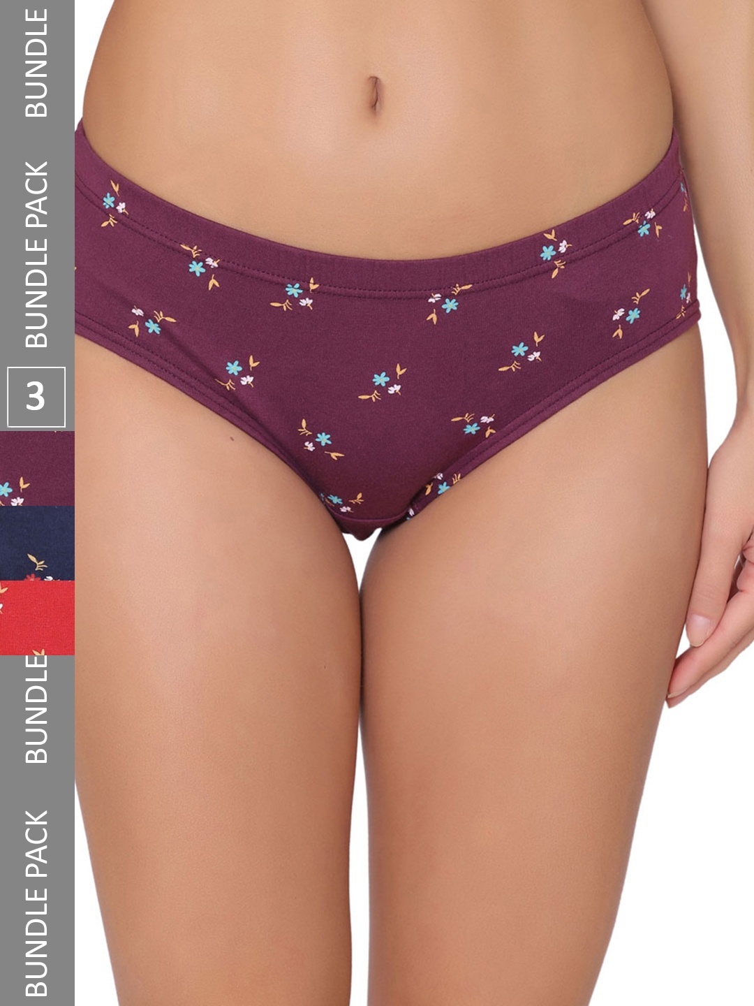 

GROVERSONS Paris Beauty Women Pack Of 3 Assorted Printed Bikini Briefs