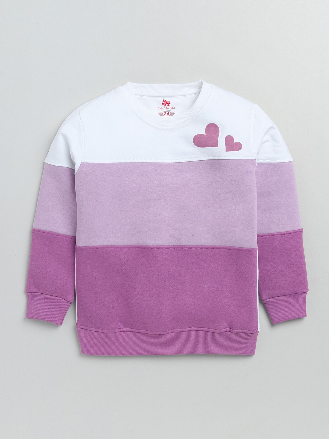 

Dear to Dad Girls Colourblocked Cotton Sweatshirt, Purple