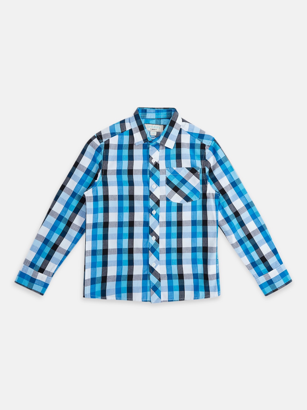 

Pantaloons Junior Boys Checked Casual Cotton Shirt, Blue