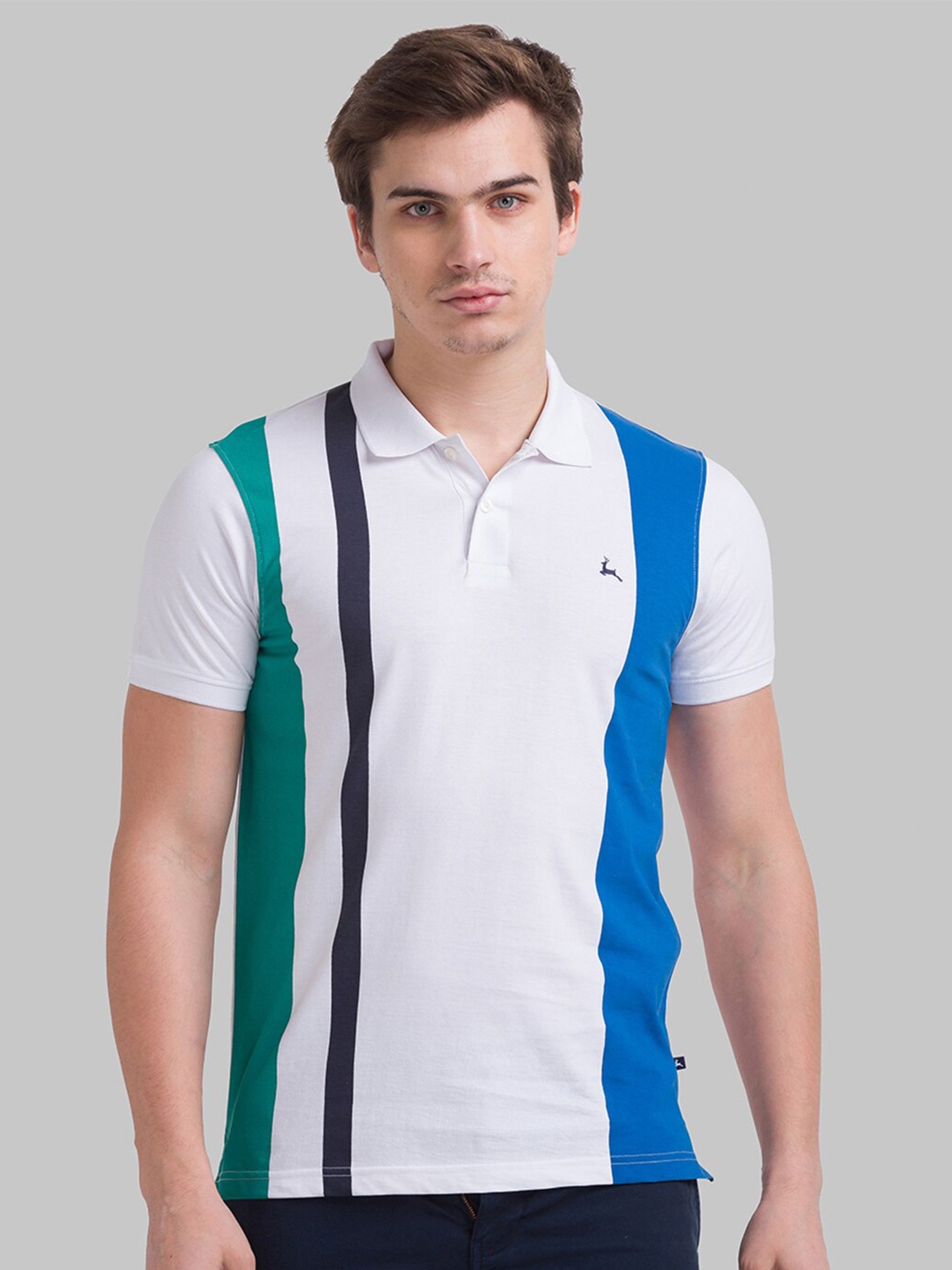 

Parx Men Colourblocked Polo Collar Cotton T-shirt, White