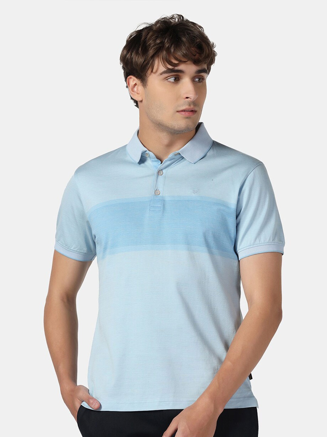 

Blackberrys Men Cotton Polo Collar T-shirt, Blue