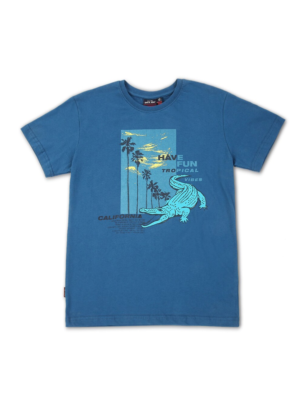 

Gini and Jony Boys Printed Cotton T-shirt, Teal