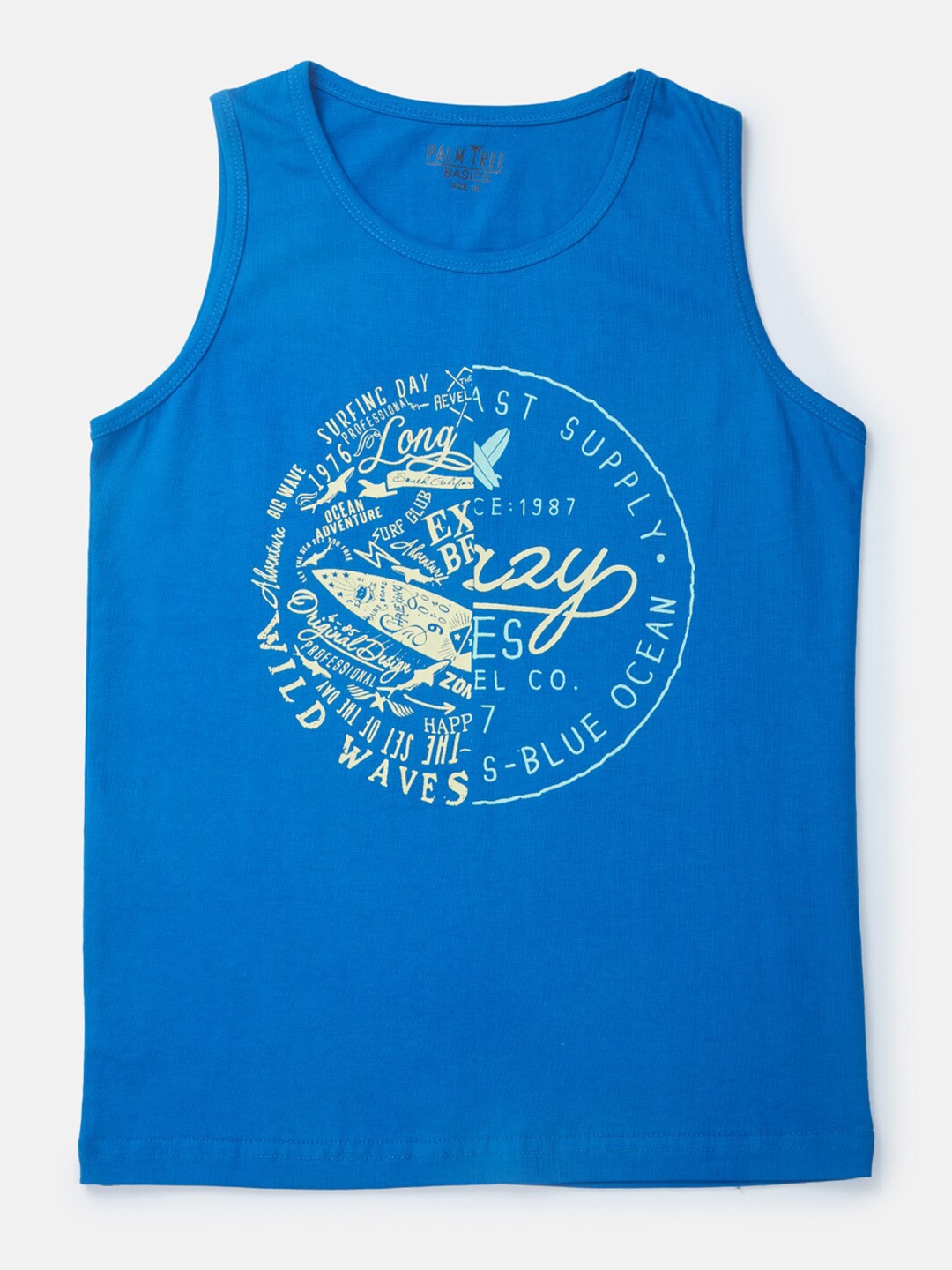 

Palm Tree Boys Typography Printed Cotton T-shirt, Blue