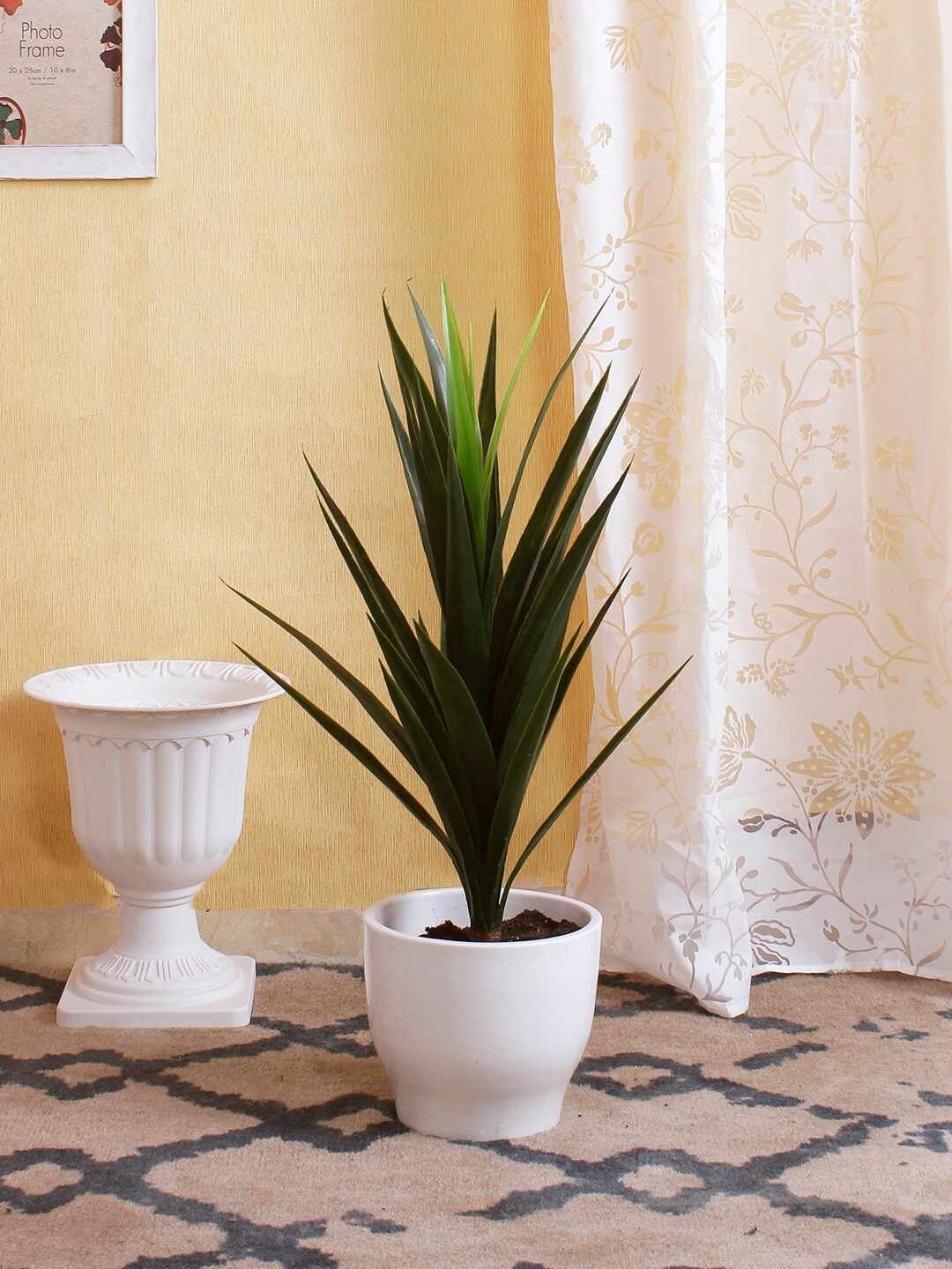 

Fourwalls Green Yucca Artificial Plants Without Pot