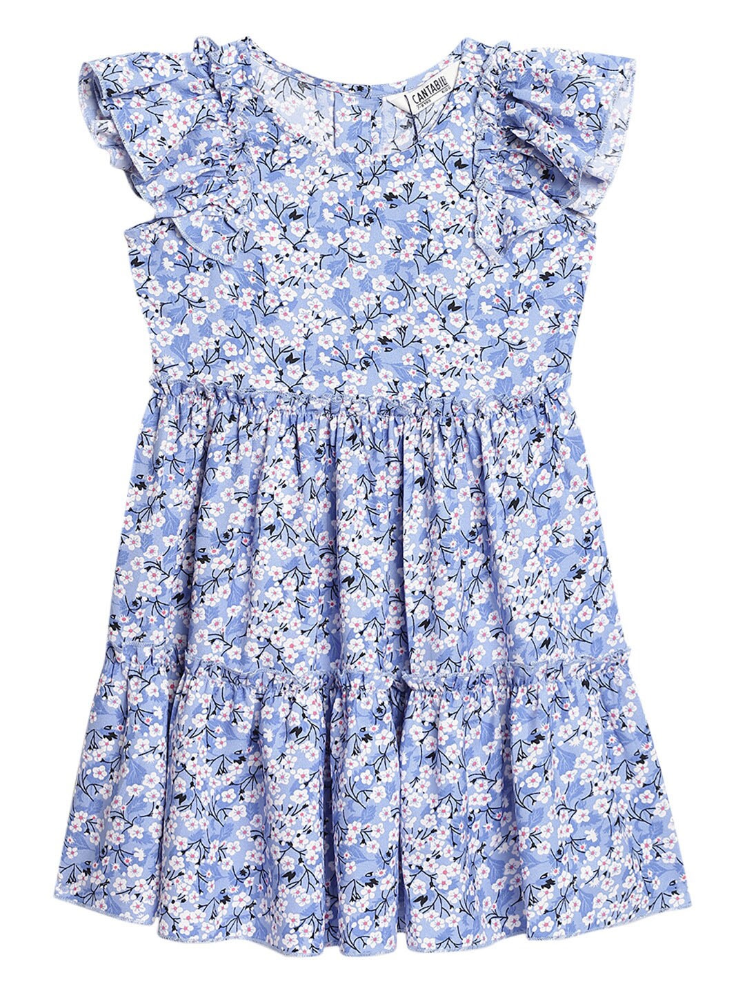 

Cantabil Floral Printed Fit And Flare Dress, Blue