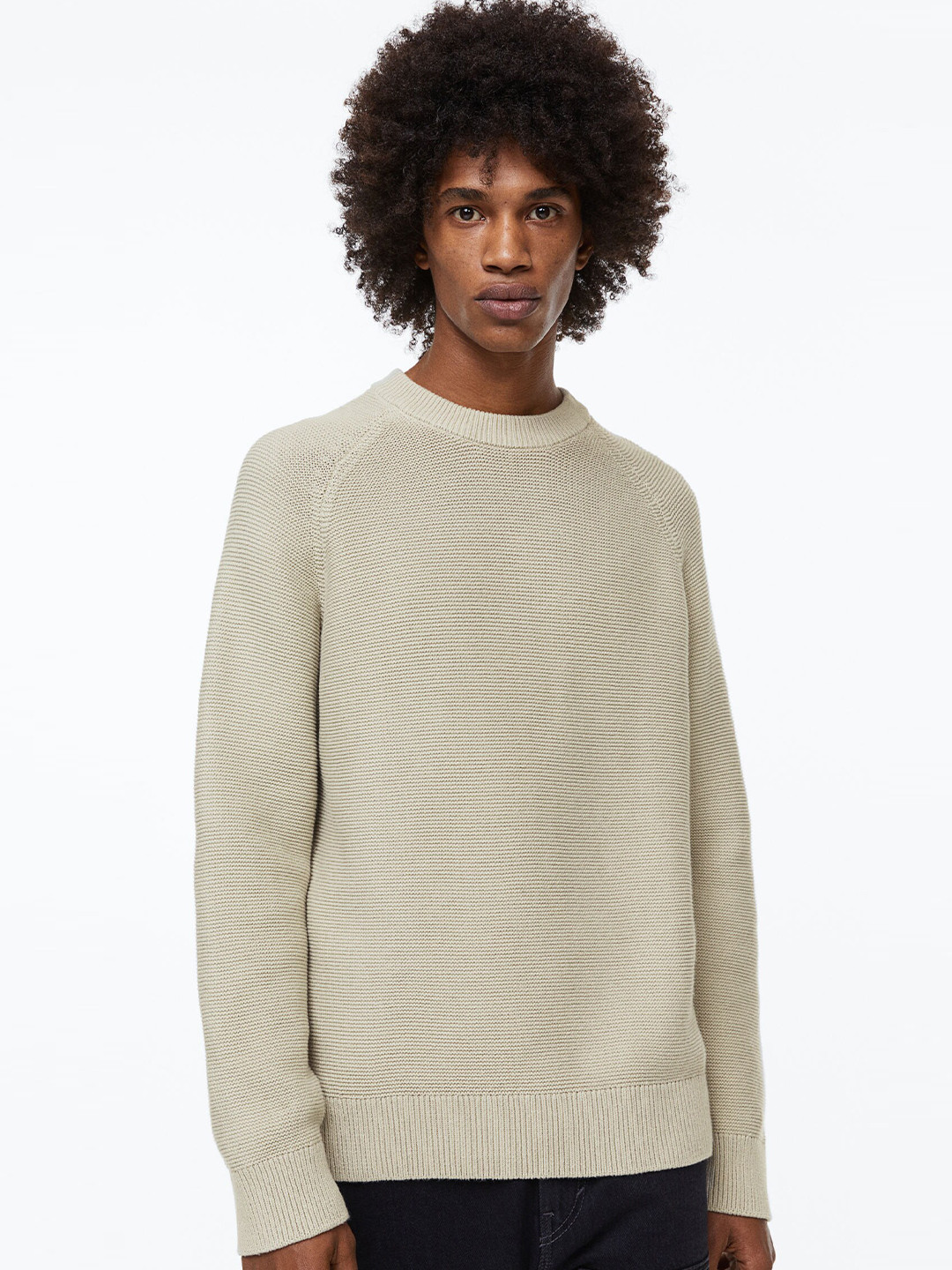 

H&M Men Regular Fit Cotton Jumper, Beige