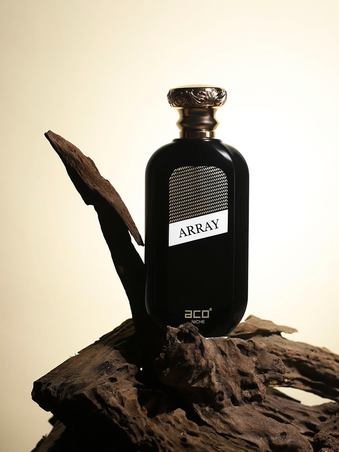 

aco PERFUMES Women Array Premium Long Lasting Eau De Parfum - 100 ml, Black