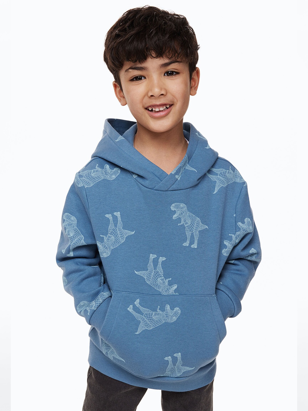 

H&M Boys Blue Printed Hooded Sweatshirt