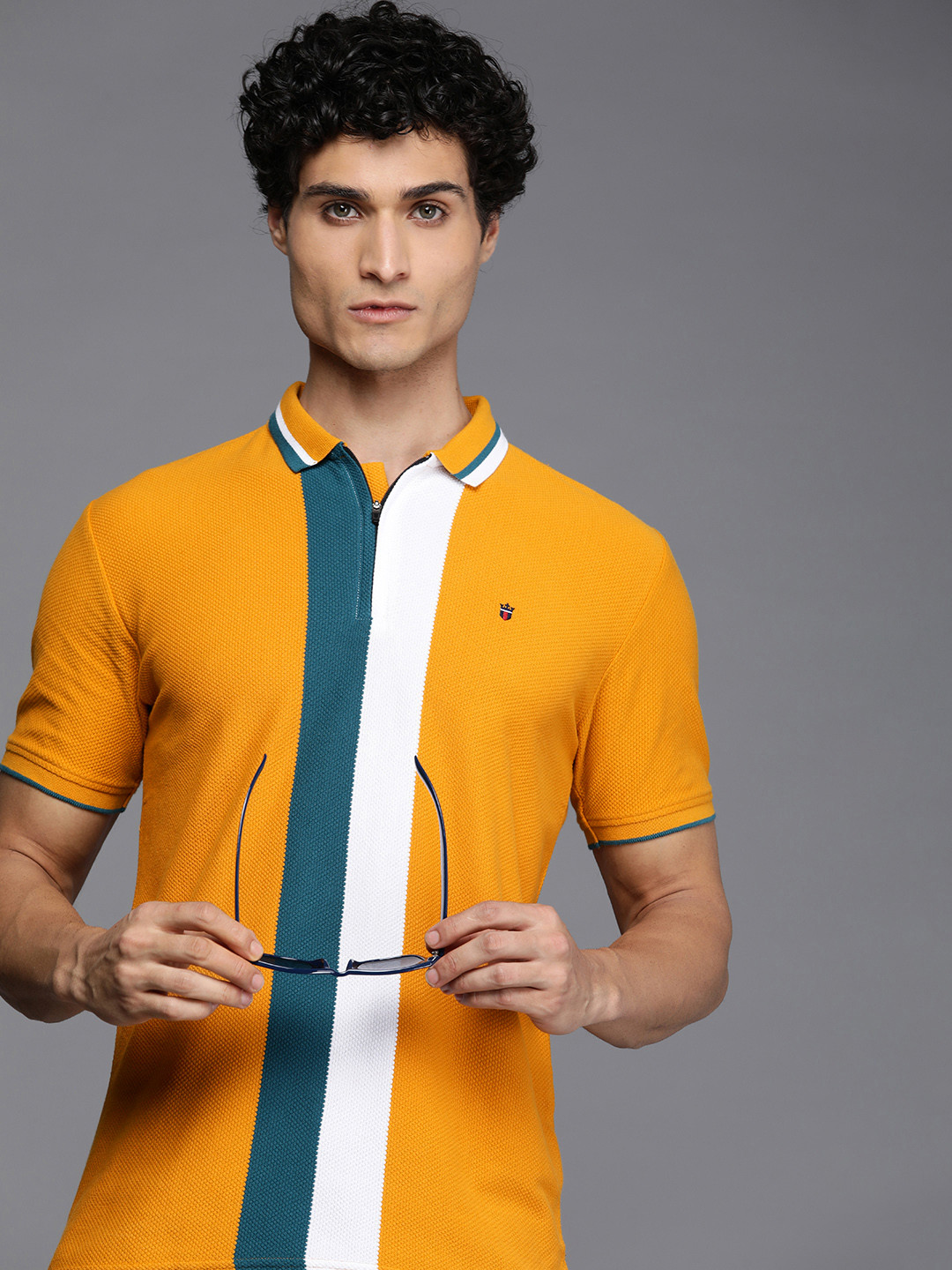 

Louis Philippe Sport Men Striped Polo Collar Pure Cotton Slim Fit T-shirt, Yellow