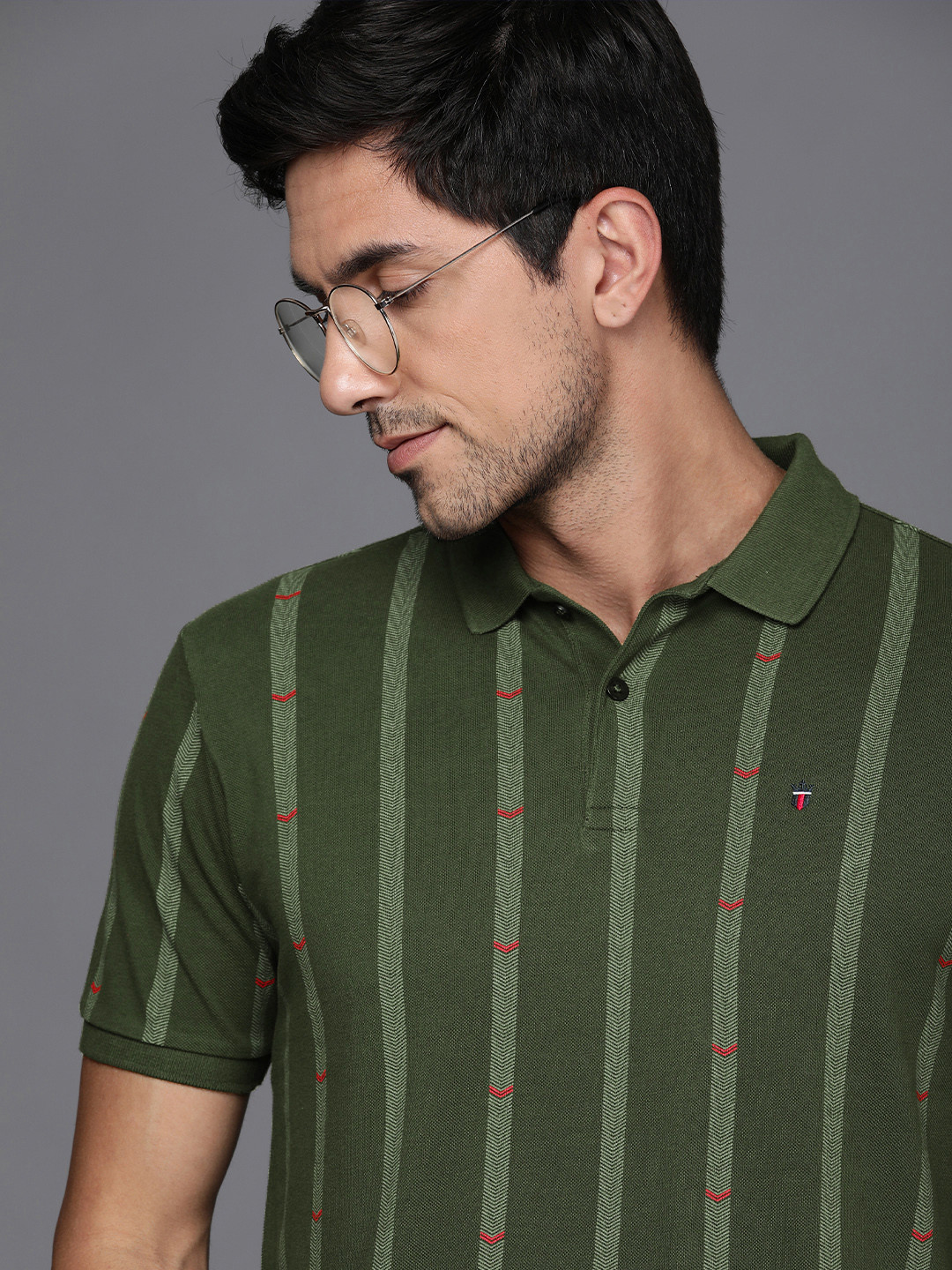 

Louis Philippe Sport Men Striped Polo Collar Pure Cotton Slim Fit T-shirt, Olive