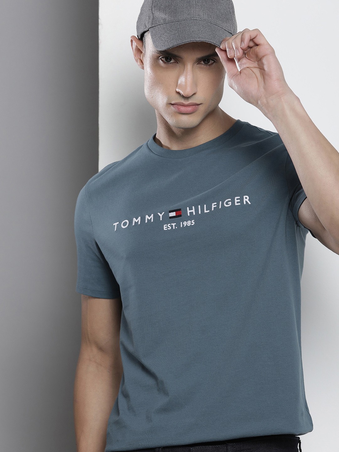 

Tommy Hilfiger Men Pure Cotton Brand Logo Printed T-shirt, Blue