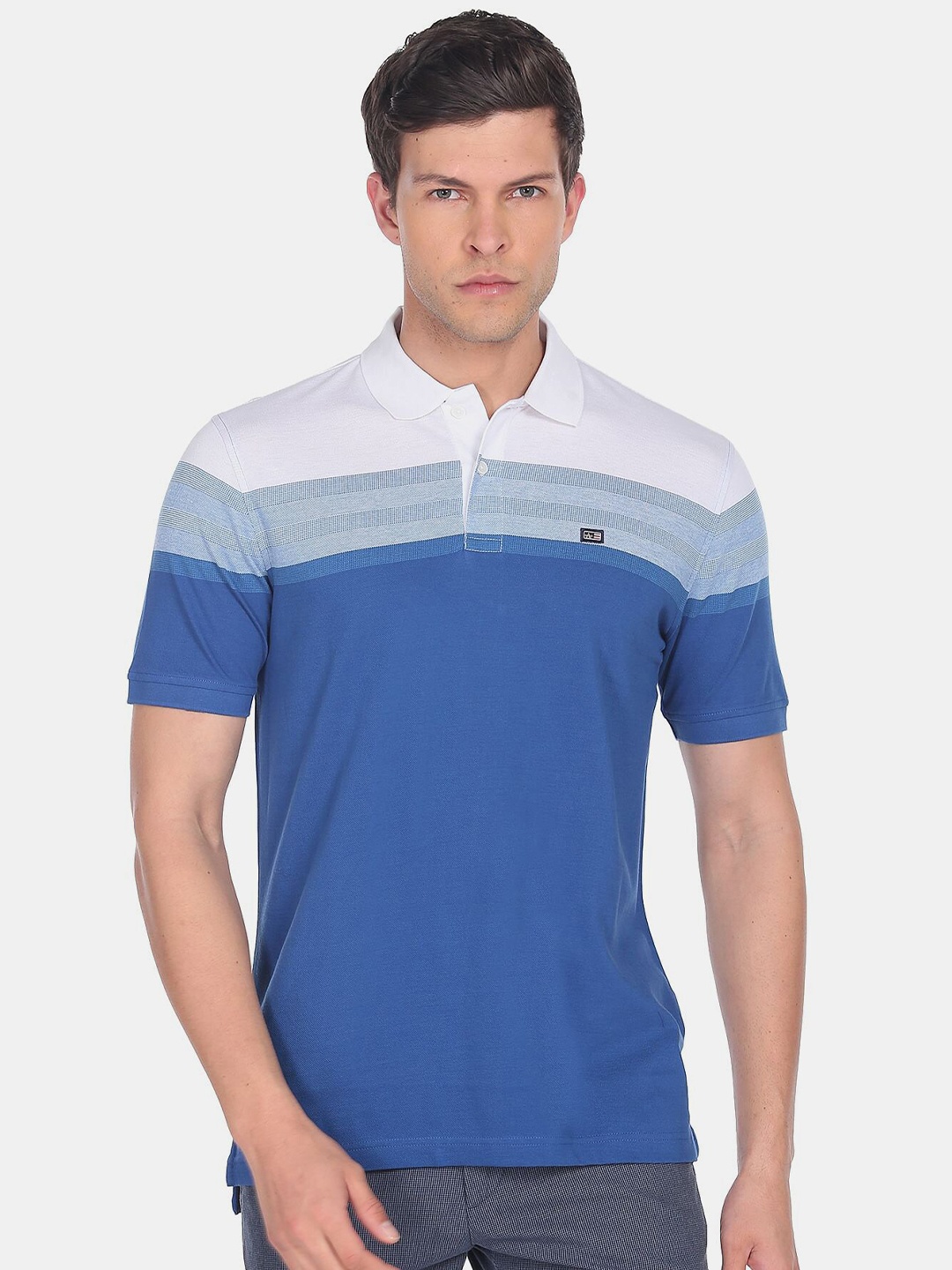 

Arrow Sport Men Colourblocked Polo Collar Cotton T-shirt, Blue
