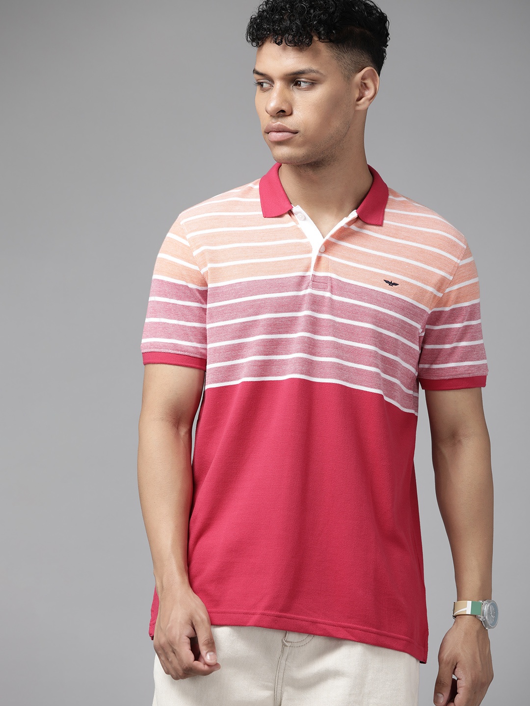 

Park Avenue Striped Polo Collar Slim Fit T-shirt, Magenta