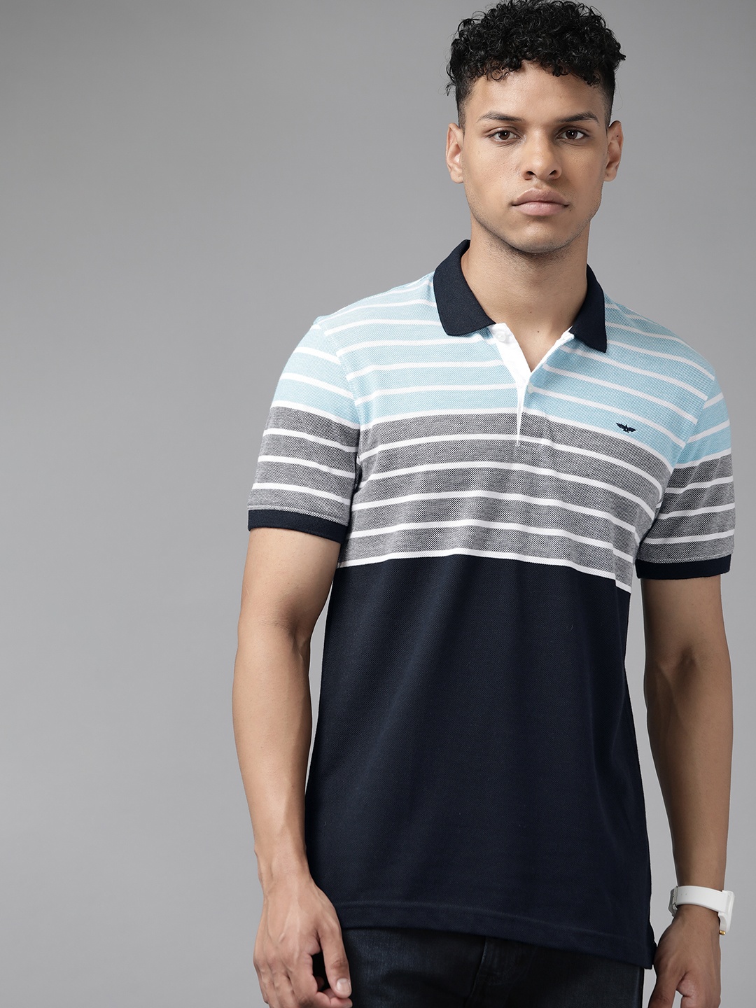 

Park Avenue Striped Polo Collar Slim Fit T-shirt, Navy blue