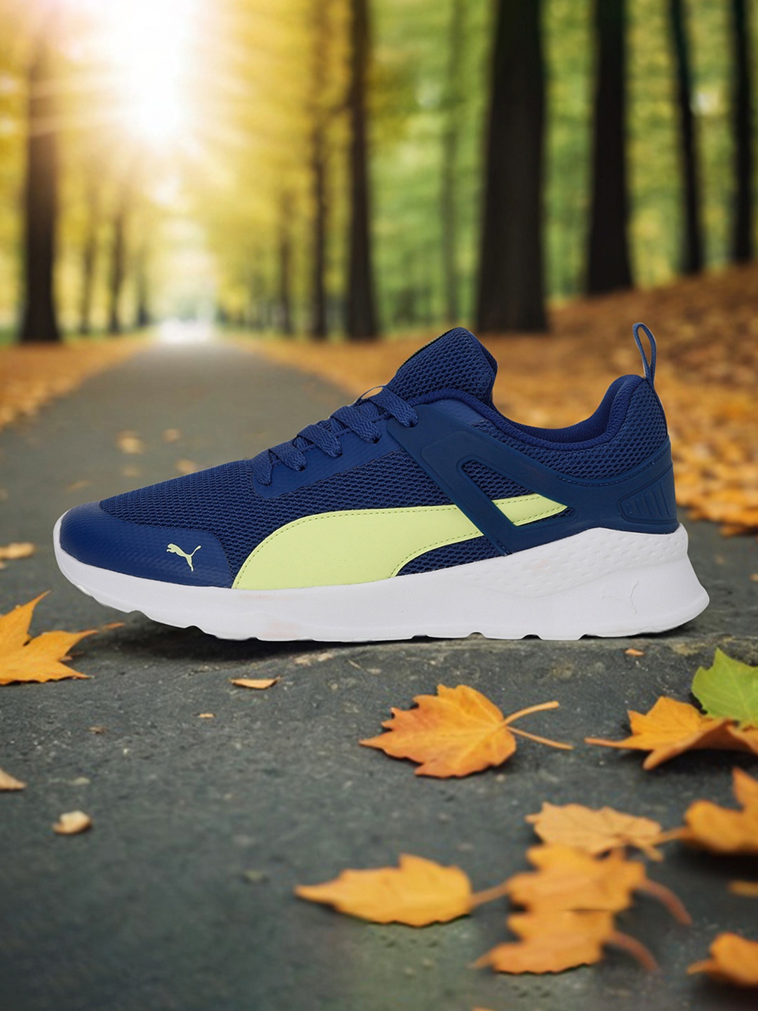 

Puma Men Amaze Runner, Blue