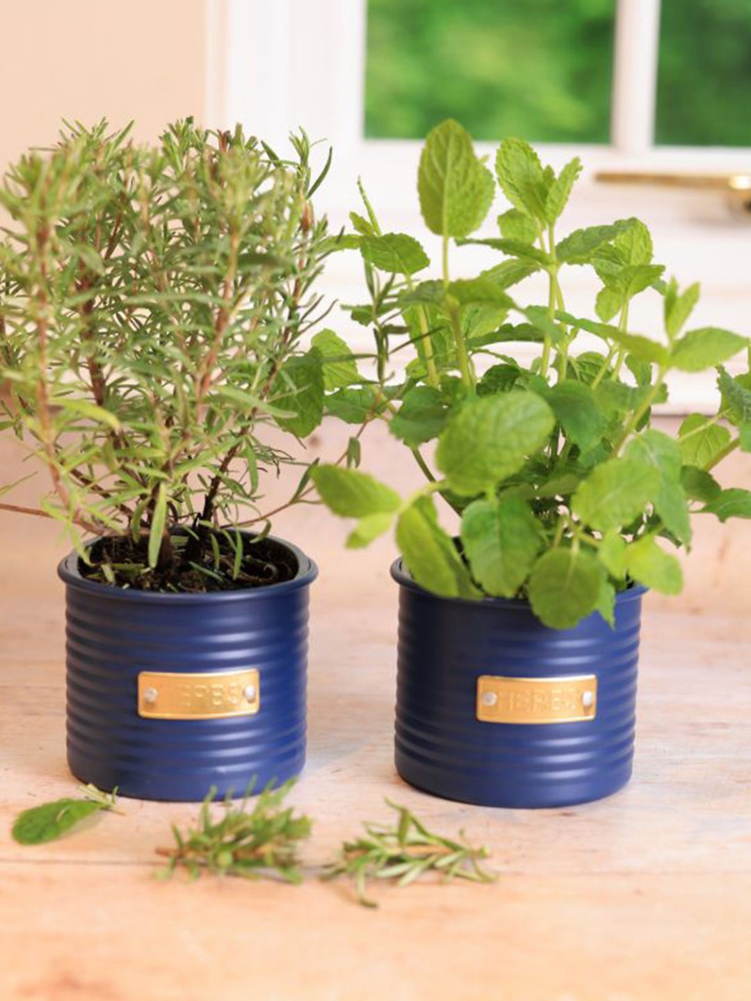 

TYPHOON Otto Set Of 2 Navy Blue Textured Herb Planters