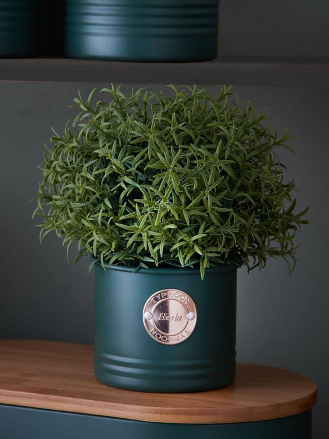 

TYPHOON Living Green Herb Planter